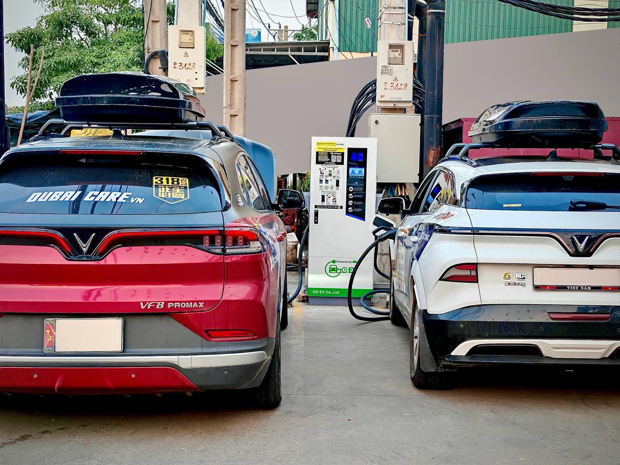 Genuine services illustration